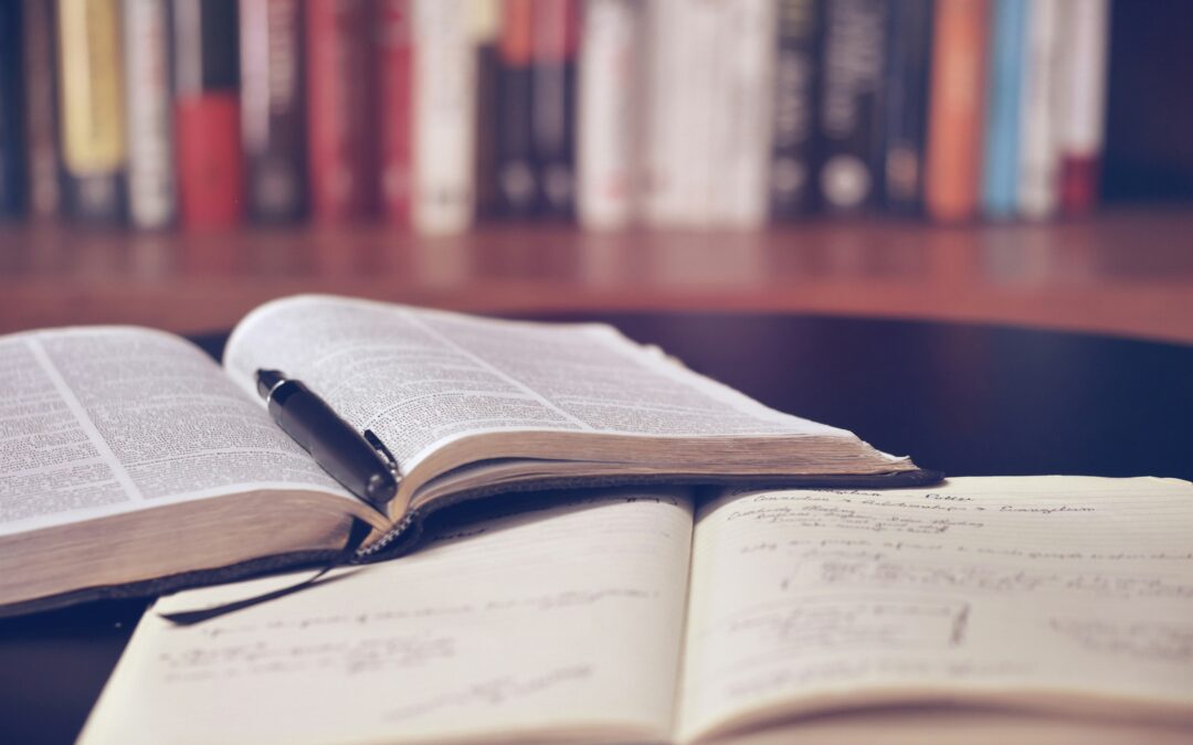 The Final Policy Outputs of the Erasmus+ Net0Manager Project Have Been Published